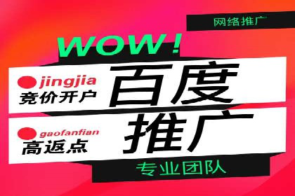 实战技巧：竞价推广案例解析与优化策略